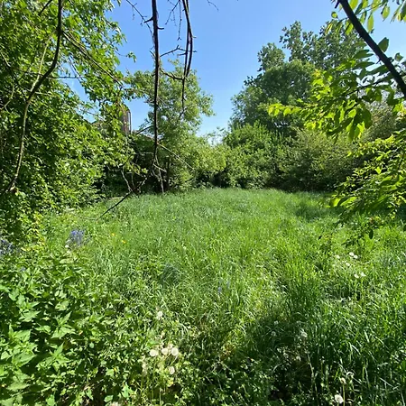 Walden Lo-Reninge