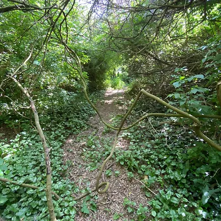 Walden *